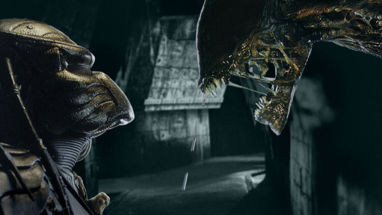 Alien versus Predador