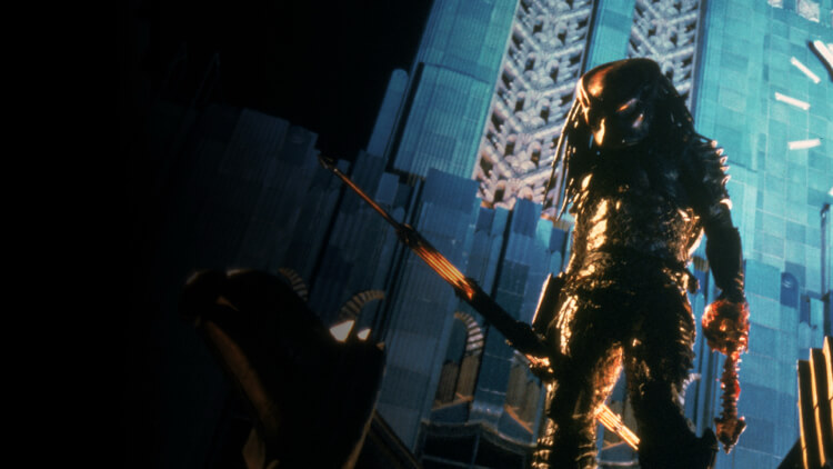 Predador City Hunter